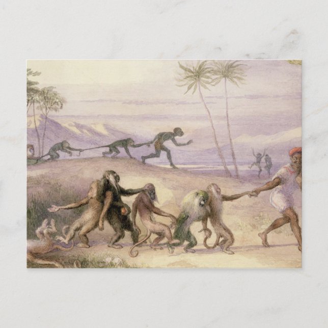 Cartão Postal Maneiras e Alfândegas dos Macacos (Frente)