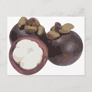 Cartão Postal Mangosteen Sweet e Tangy Frutas da Tailândia