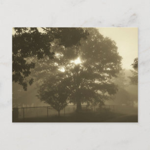 Cartão Postal Manhã