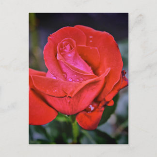 Cartão Postal Manhã