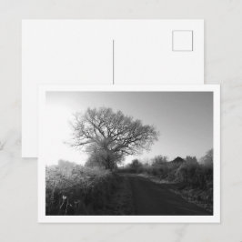 Cartão Postal Manhã Congelada: Cheshire