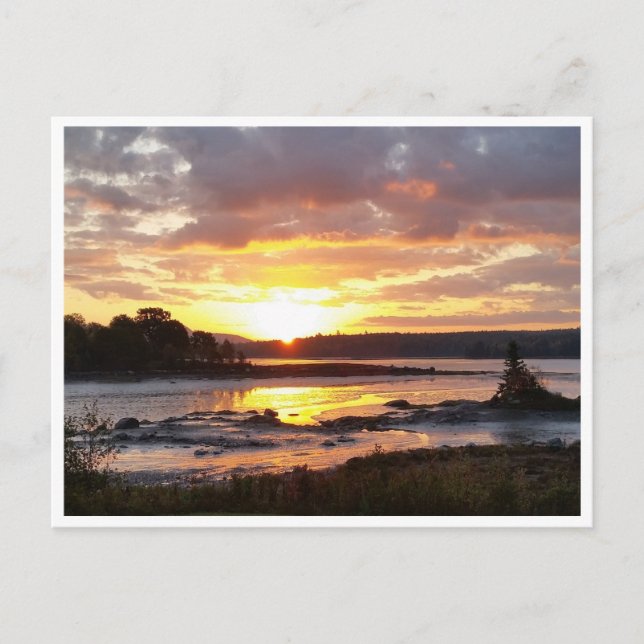 Cartão Postal Manhã da Queda na Costa do Maine (Frente)