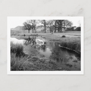 Cartão Postal Manhã de inverno: Baía de Strandshag, Água Derwent