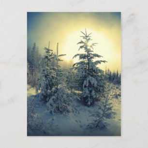 Cartão Postal Manhã De Inverno Crise