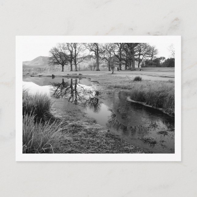 Cartão Postal Manhã de Inverno: Strandshag Bay, Derwentwater (Frente)