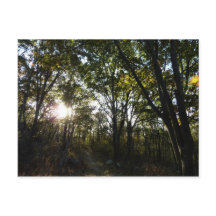 Manhã de Outono no Parque Nacional Shenandoah