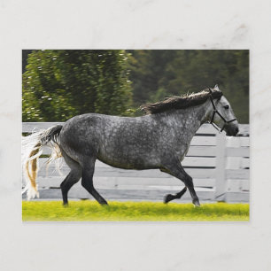 Cartão Postal Manhã em Execução