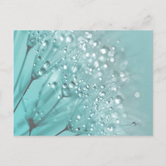 Cartão Postal Manhã Freshness (Frente)