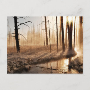 Cartão Postal Manhã Frosty Yellowstone