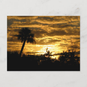 Cartão Postal Manhã II das Terras Úmidas