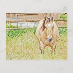 Cartão Postal Manhã Preguiçosa