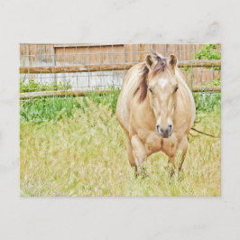 Cartão Postal Manhã Preguiçosa