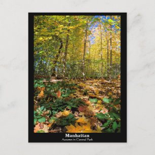 Cartão Postal Manhattan, outono no Central Park Postcard