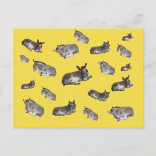 Cartão Postal Mania de Burro