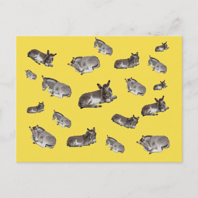 Cartão Postal Mania de Burro (Frente)