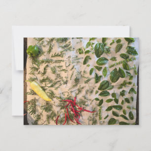 Cartão Postal Manjericão e Peppers