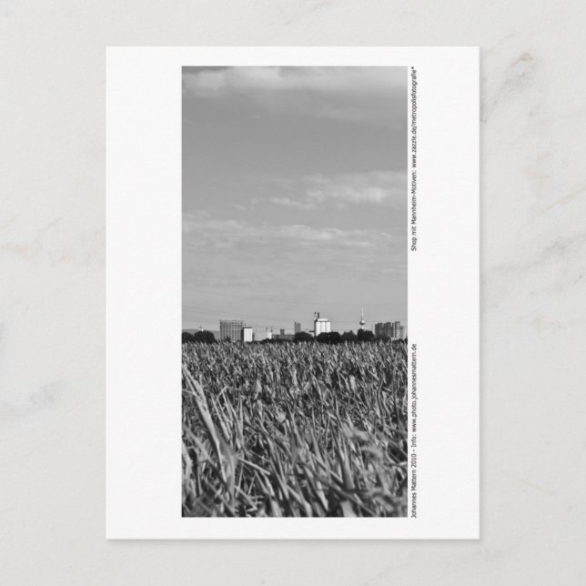 Cartão Postal Mannheim - Skyline (Frente)