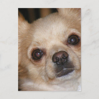 Cartão Postal Manteiga