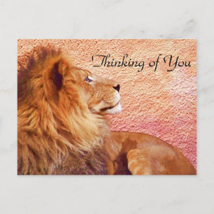 Cartão Postal Mantendo o Foco_