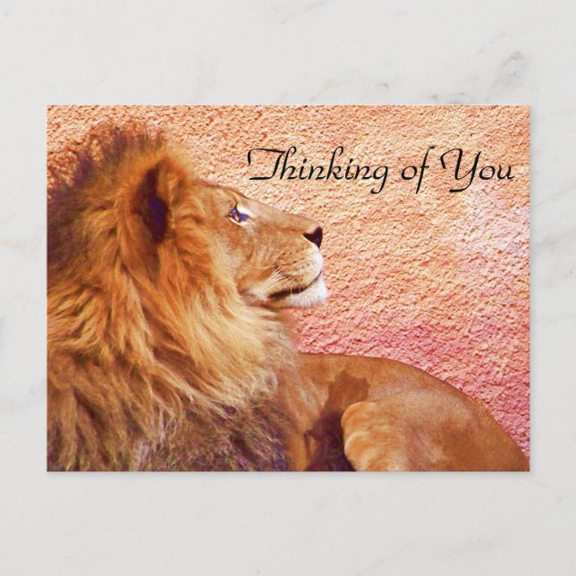 Cartão Postal Mantendo o Foco_ (Frente)