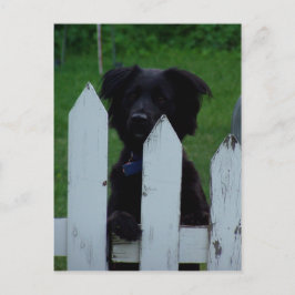 Cartão Postal mantendo um olho fora