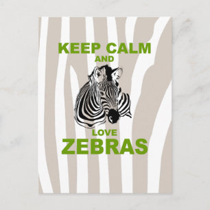 Cartão Postal Mantenha a Calma e Ame Zebras Impressão Divertida