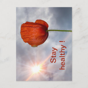 Cartão Postal Mantenha-se saudável com flor vermelha