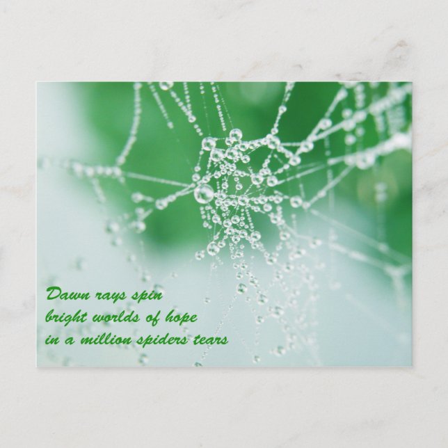 Cartão Postal Mantenha suas esperanças (Frente)