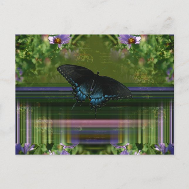 Cartão Postal Manto de Borboleta (Frente)