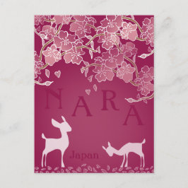 Cartão Postal Mão de Nara Japan Sakura Deer Ilustrada