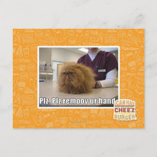 Cartão Postal Mão do ur do remoov do PLZ