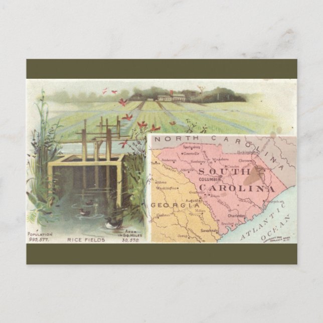 Cartão Postal Mapa Antigo da Carolina do Sul (Frente)