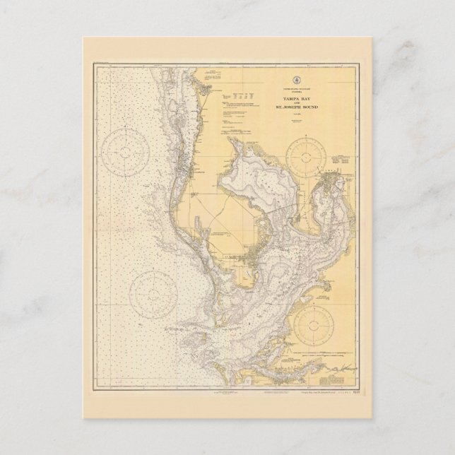 Cartão Postal Mapa da cidade de Tampa Bay, Flórida (Frente)