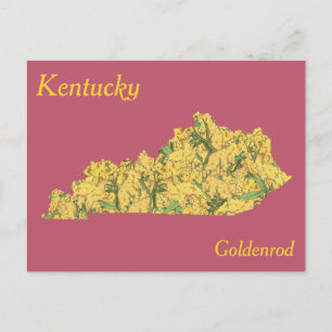 Cartão Postal Mapa da Colagem da Flor do Estado do Kentucky