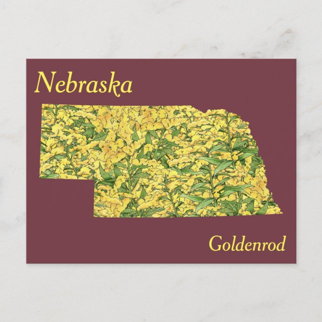 Cartão Postal Mapa da Colagem da Flor Estatal de Nebraska (Frente)