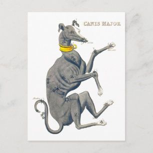Cartão Postal Mapa da estrela do Vintage Major Canis