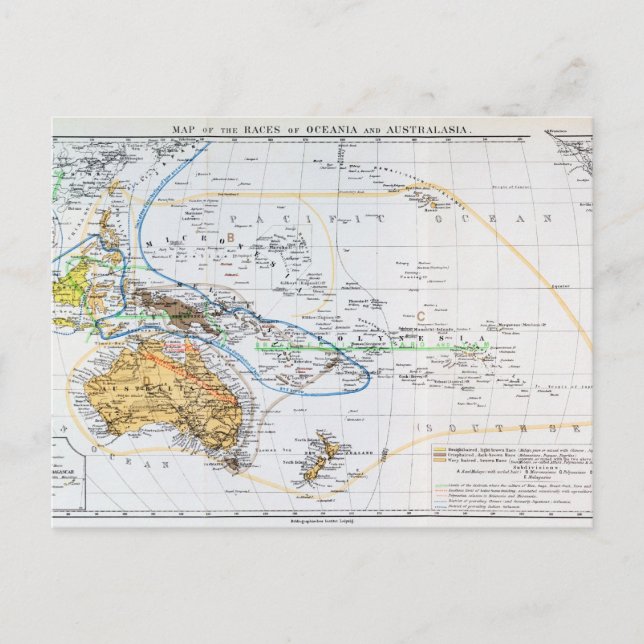 Cartão Postal Mapa das raças da Oceânia e da Australásia (Frente)