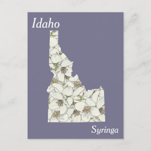 Cartão Postal Mapa de Colagem da Flor do Estado de Idaho