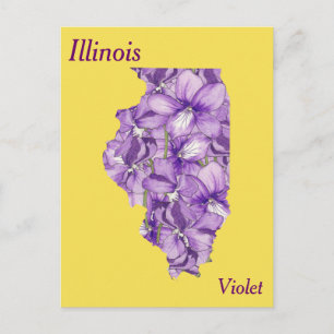 Cartão Postal Mapa de Colagem da Flor do Estado de Illinois