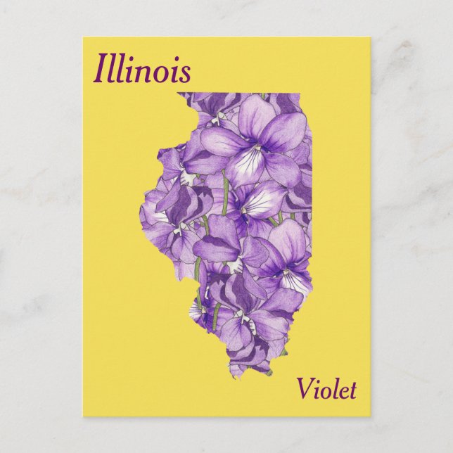 Cartão Postal Mapa de Colagem da Flor do Estado de Illinois (Frente)
