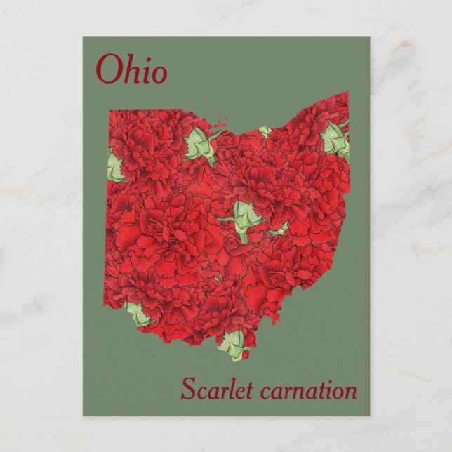 Cartão Postal Mapa de Colagem da Flor do Estado de Ohio (Frente)