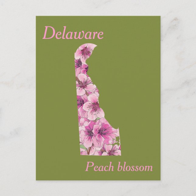 Cartão Postal Mapa de Colagem da Flor do Estado Delaware (Frente)