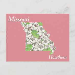 Cartão Postal Mapa de Colagem da Flor do Estado do Missouri