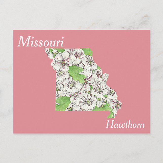 Cartão Postal Mapa de Colagem da Flor do Estado do Missouri (Frente)