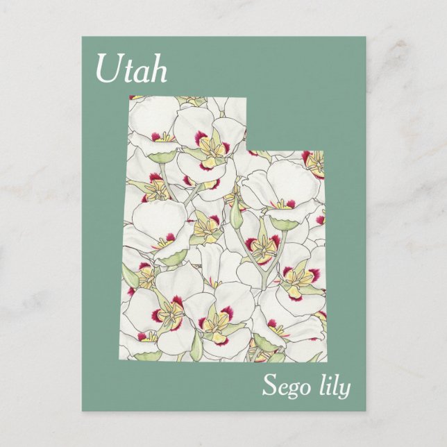 Cartão Postal Mapa de Colagem de Flores do Estado de Utah (Frente)