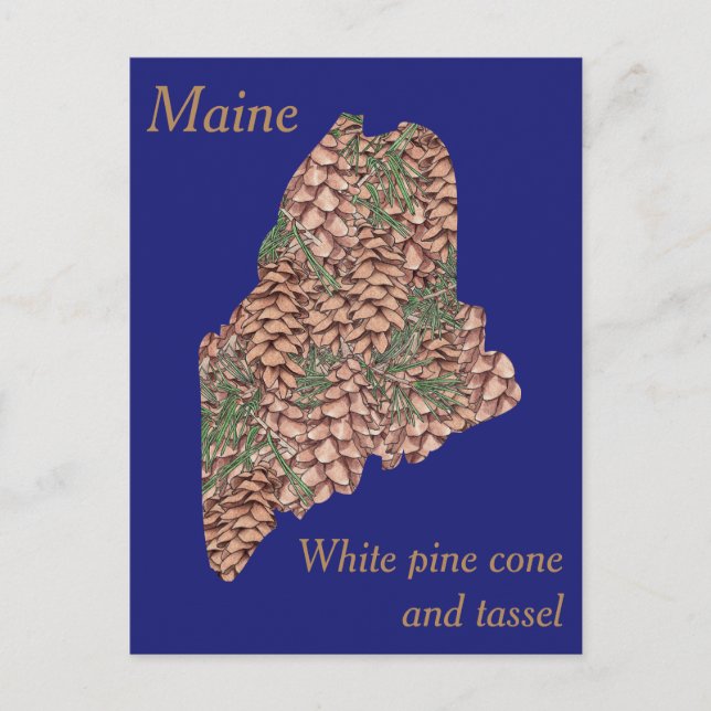 Cartão Postal Mapa de Colagem de Flores do Estado do Maine (Frente)
