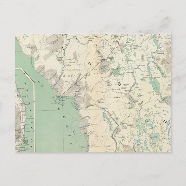 Cartão Postal Mapa de genes XI (Frente)