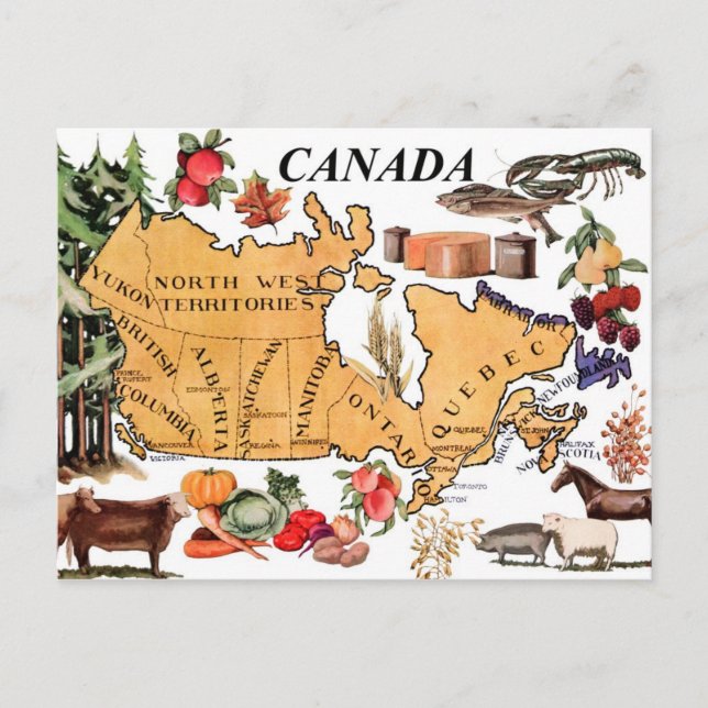 Cartão Postal Mapa do Canadá e vários produtos representativos (Frente)