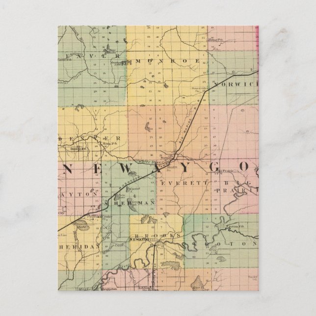 Cartão Postal Mapa do Condado de Newaygo, Michigan (Frente)