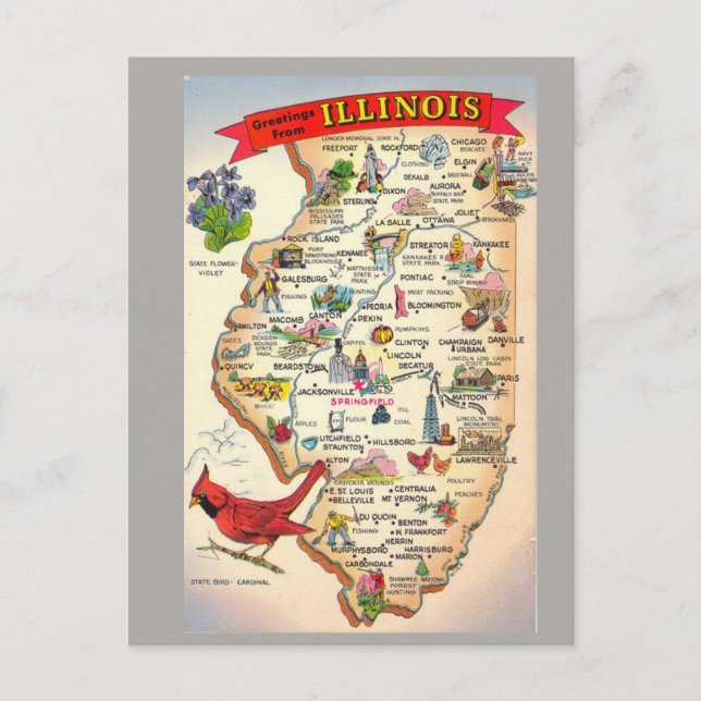 Cartão Postal Mapa do Estado de Illinois (Frente)